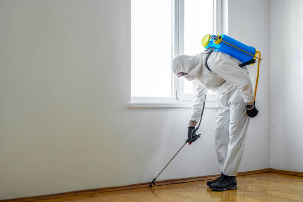 Best Ant Control Services  in Traverse City, MI