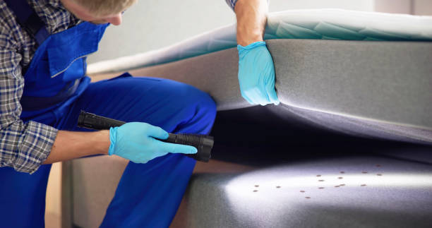 Best Residential Pest Control  in Traverse City, MI