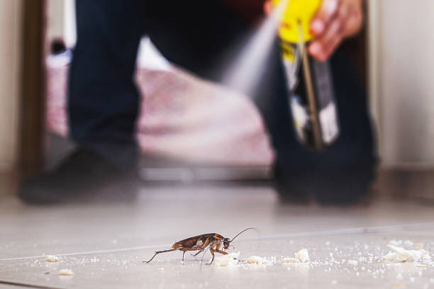 Best Best Pest Control Companies  in Traverse City, MI