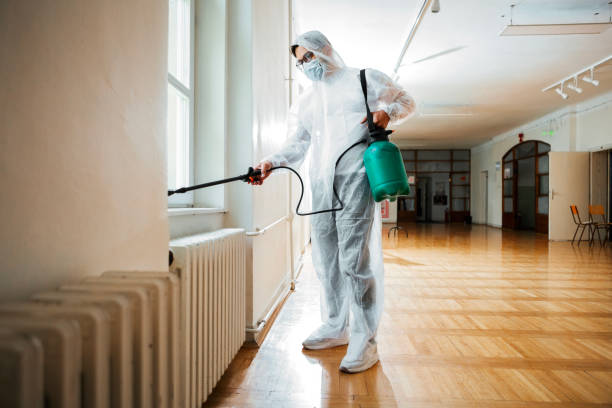 Best Termite Control Services  in Traverse City, MI