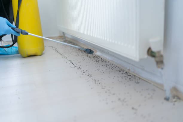 Best Pest Prevention Services  in Traverse City, MI