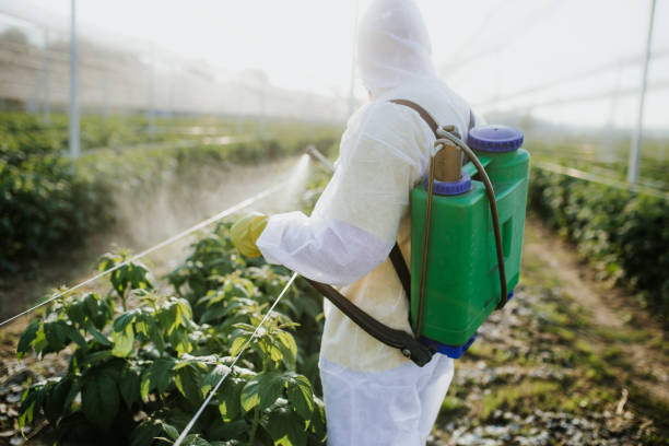 Best Wildlife Control Services  in Traverse City, MI
